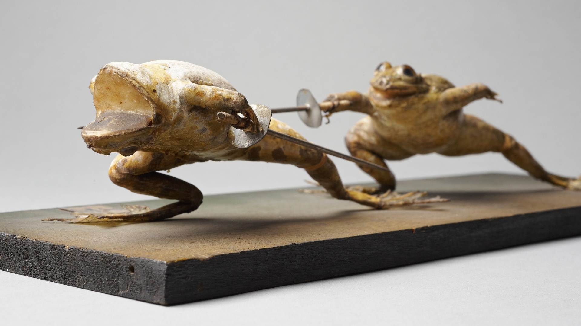 Escultura de Präparierte Frösche presente na exposição "The Other Half" ("A Outra Metade"), do Museu de História da Arte em Viena. Até setembro de 2013, o museu reúne cerca de 80 peças de um período de mais de 4 mil anos de história com a temática de casais e duetos - Divulgação