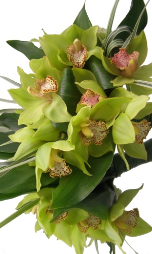 Buquê de orquídea cimbidium, folha de haram e cabo de junco; na Flor & Forma