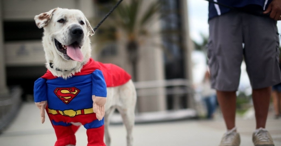 19.jul.2013 - Até o cachorro entrou na onda do cosplay, encarnando um "supercão" na Comic-Con - Sandy Huffaker/AFP