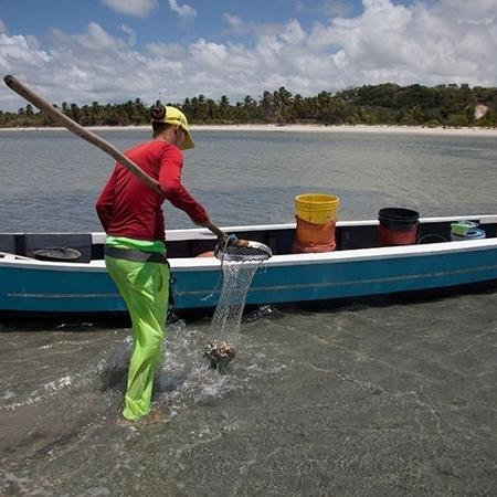Campanha Mar de Luta destaca a resistência dos pescadores artesanais - Roberta Guimarães/UOL