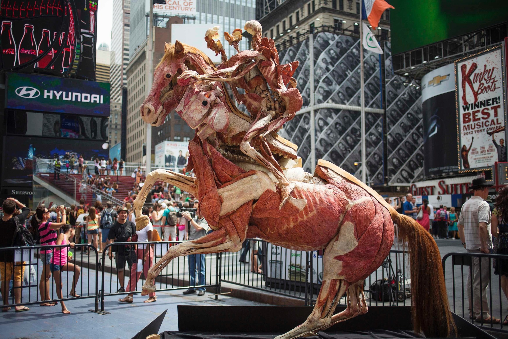 24.jul.2013 - Corpos dissecados de um homem e um cavalo foram colocados na Times Square, em Nova York, para a divulgação da exposilção "Body Worlds: Pulse", em cartaz na cidade americana - Shannon Stapleton/Reuters