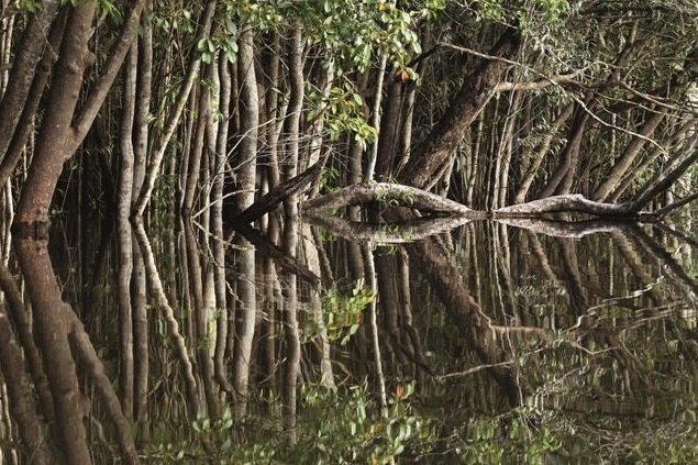 Cena do documentário "Amazonia", coprodução França-Brasil que será exibida no Festival de Veneza, mas fora da competição - Araquém Alcântara/Divulgação