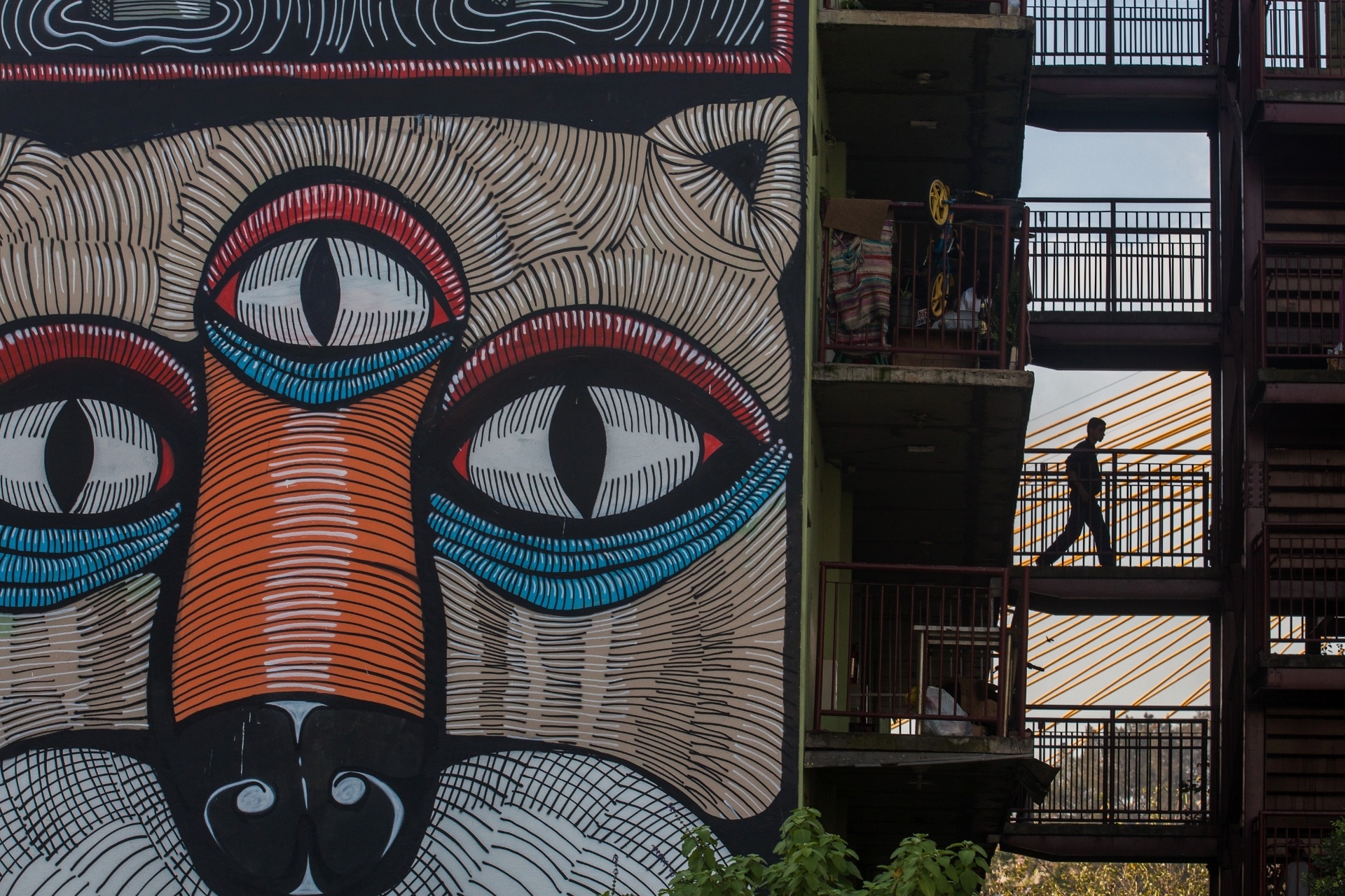 27,jul.2013 - Moradores convivem com obras de arte nas paredes no Conjunto Residencial Parque do Gato - Victor Moriyama/UOL