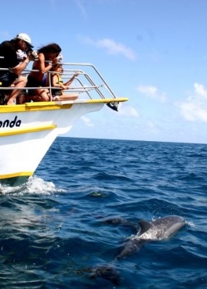 Turistas observam golfinhos durante passeio de barco ao redor de Fernando de Noronha - Antônio Melcop/Divulgação