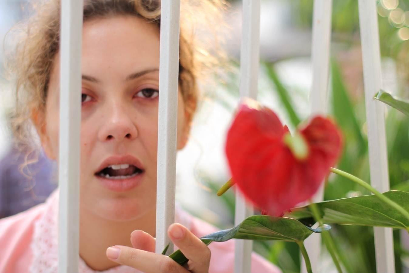 o longa seguirá os mesmos passos do curta-metragem (assista ao lado) e contará a história da recatada empregada doméstica Dirce que, durante a arrumação da casa do patrão após uma festa bombante, decide experimentar inadvertidamente o bolo de maconha - Divulgação