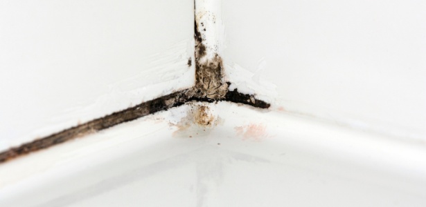 Infiltração/ umidade na base da parede pode comprometer a estrutura, verifique e trate o problema - Getty Images