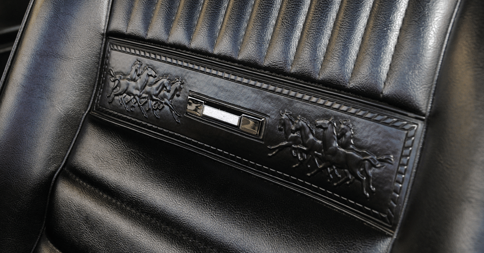 9º Encontro Nacional de Ford Mustang - Itu (SP) - Murilo Góes/UOL