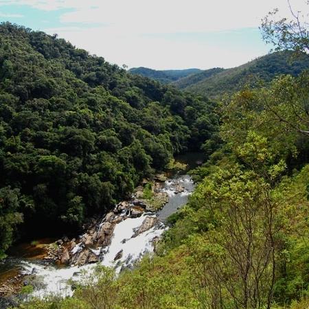 Parque Estadual da Serra do Mar - Débora Costa e Silva/UOL