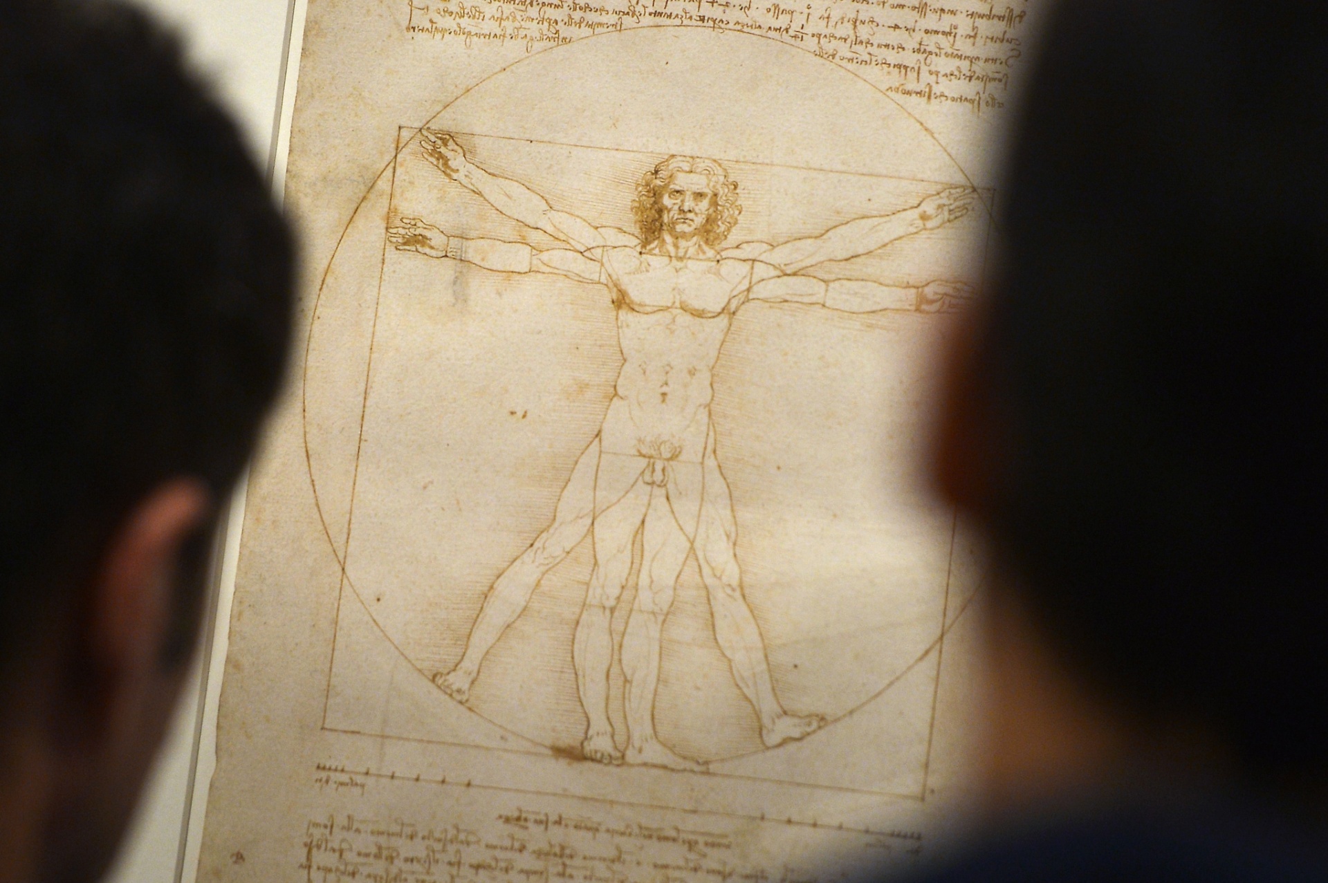 A exposição "Leonardo da Vinci: o homem universal" reúne 52 desenhos de um dos artistas mais talentosos da história, admirado pela capacidade de combinar arte com ciência, beleza com mecânica, natureza com proporções, corpo com alma. As obras de caráter artístico e científico, entre elas o célebre desenho do "Homem Vitruviano", ficarão expostas até dezembro de 2013 - Gabruel Bouys/AFP