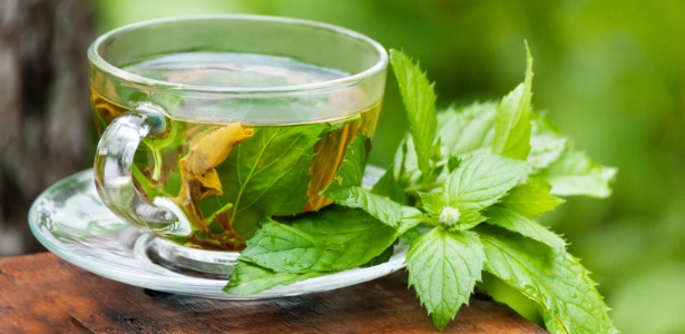 Ervas recém-colhidas dão mais sabor ao chá. A hortelã gosta de sol e de um vasinho exclusivo   - Getty Images