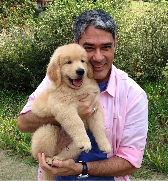 13.set.2013- William Bonner mostrou para os internautas, em abril, o novo integrante da família: o cachorro se chama Guilliver e é da raça golden retriever