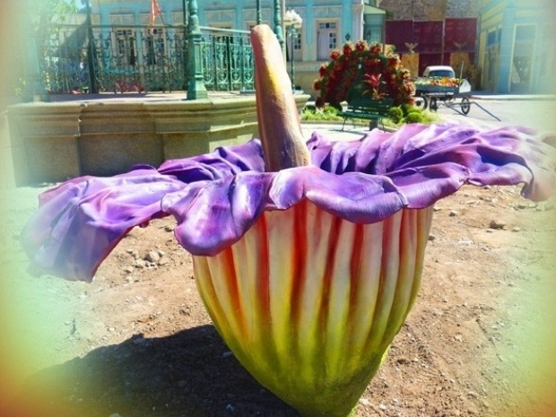 Em "Saramandaia", flor que nasceu após explosão fica maior após raio cair