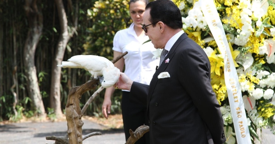20.set.2013 - Chiquinho Scarpa brinca com seu pássaro de estimação antes do enterro de seu Bentley