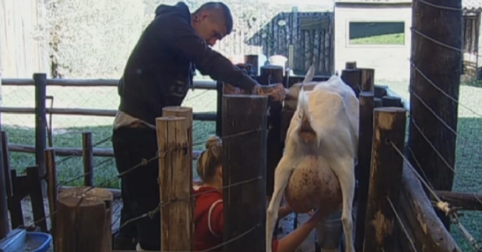 26.set.2013 - Bárbara teve ajuda de Mateus para tirar leite da cabra