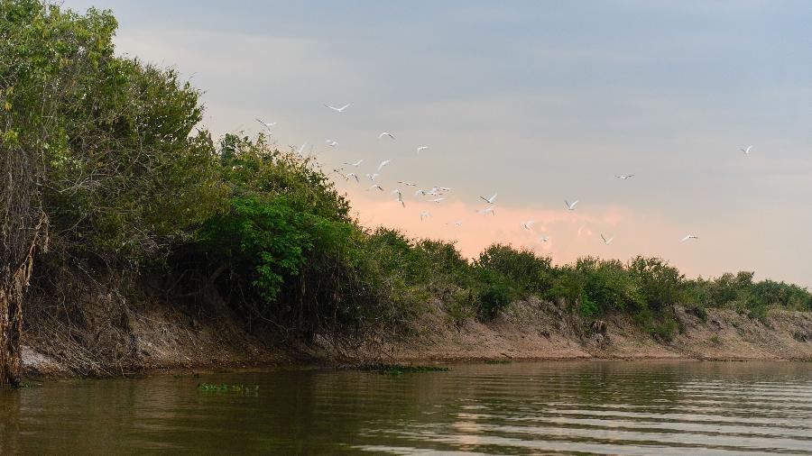 Militar estava em uma instrução técnica fluvial no Pantanal - Bruno Oliveira/UOL