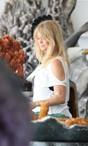 30.set.2013 - A atriz Goldie Hawn visita loja especializada em pedras no Recreio dos Bandeirantes, no Rio de Janeiro. Ela está na cidade para o baile de gala da amfAR, que acontece nesta sexta-feira (4) no Copacaba Palace