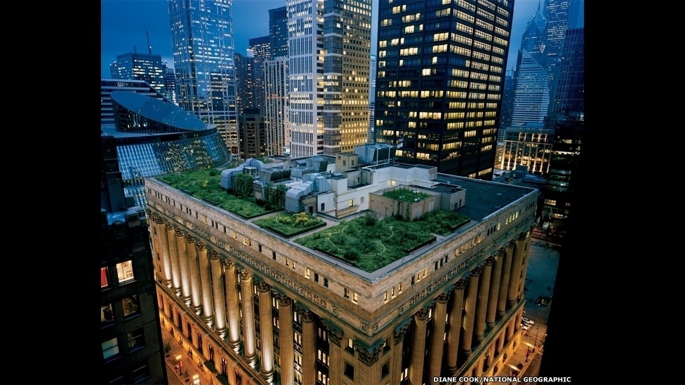 Exposição nos Estados Unidos celebra fotógrafas da revista "National Geographic" com imagens que reportagens históricas feitas no mundo todo - Diane Cook/National Geographic