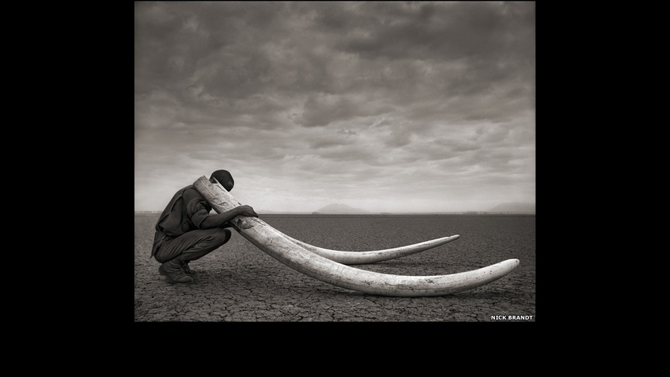 Guarda-florestal com presas de elefante, Amboseli, 2011, faz parte do livro "Across the Ravaged Land" ('Pela Terra Devastada', em tradução livre) - Nick Brandt