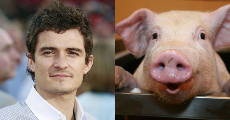 Orlando Bloom tem medo de porcos. Nas filmagens de "Cruzada", sempre que um porco escapava e se aproximava do ator, ele ficava aterrorizado