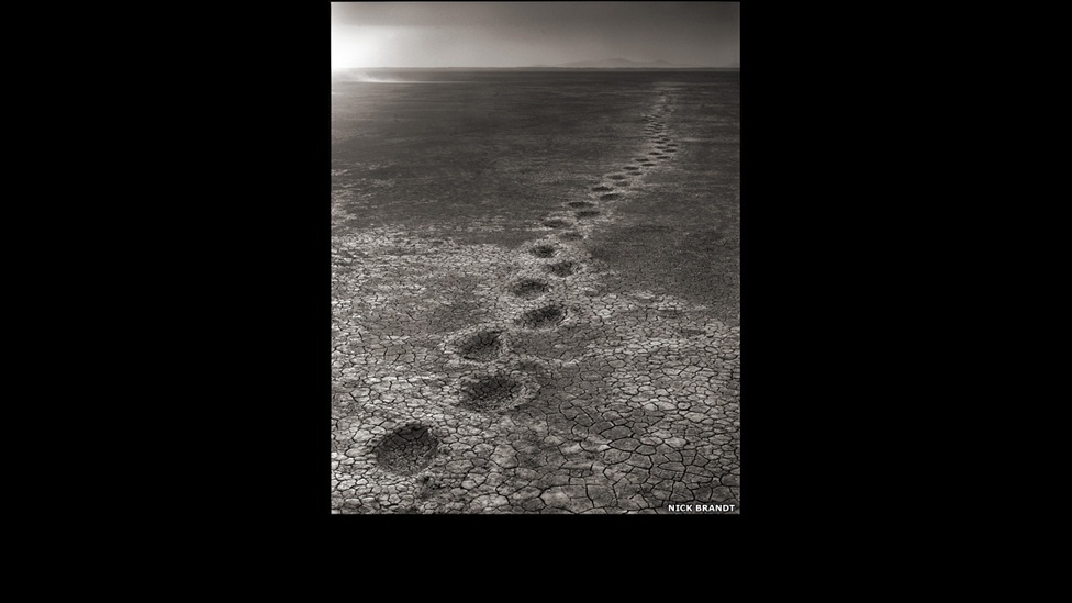 Pegada de elefantes em Amboseli faz parte do livro "Across the Ravaged Land" ('Pela Terra Devastada', em tradução livre) - Nick Brandt