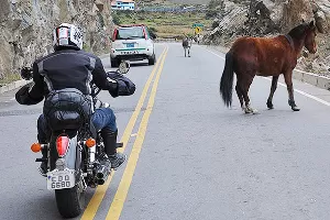 Viagens a bordo de super motos na América do Sul - Auto - Diário do Nordeste