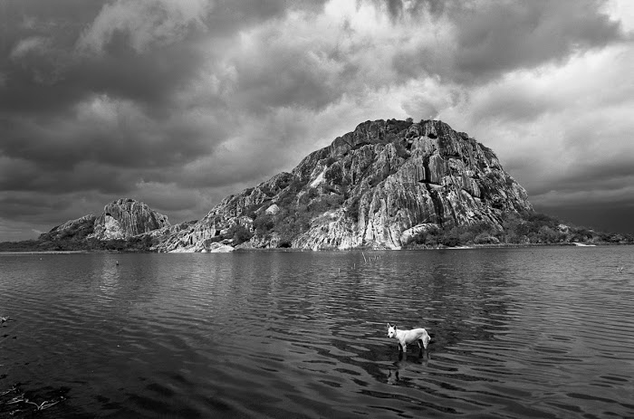 Araquém Alcântara abre "Coleção Ipsis de Fotografia Brasileira" - Araquém Alcântara
