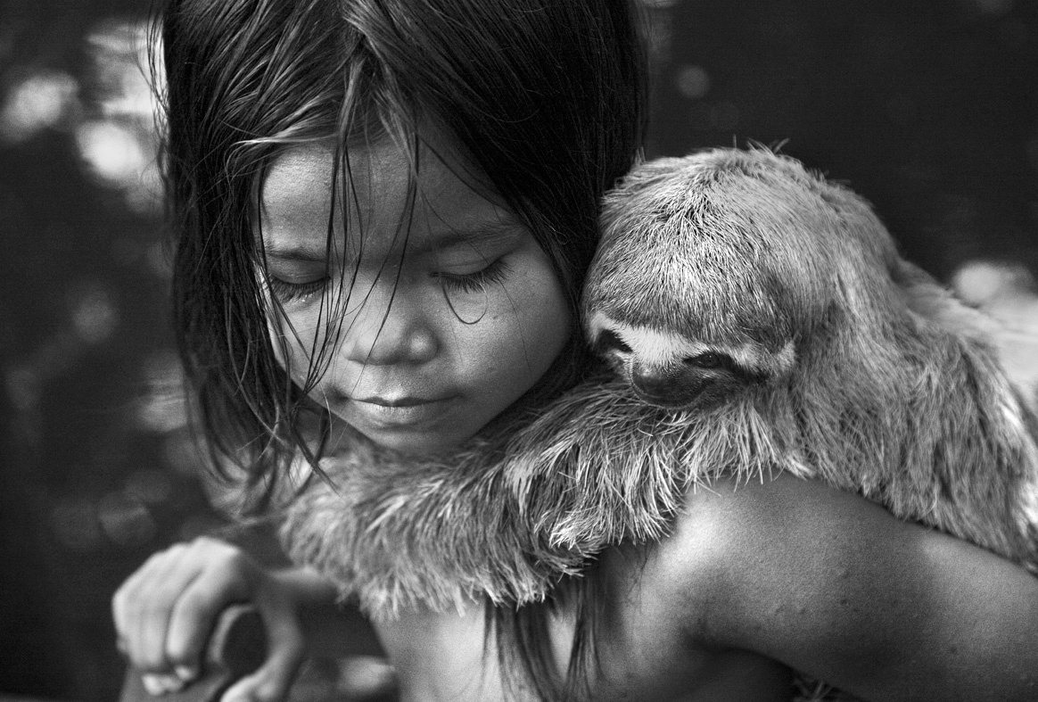 Araquém Alcântara abre "Coleção Ipsis de Fotografia Brasileira" - Araquém Alcântara
