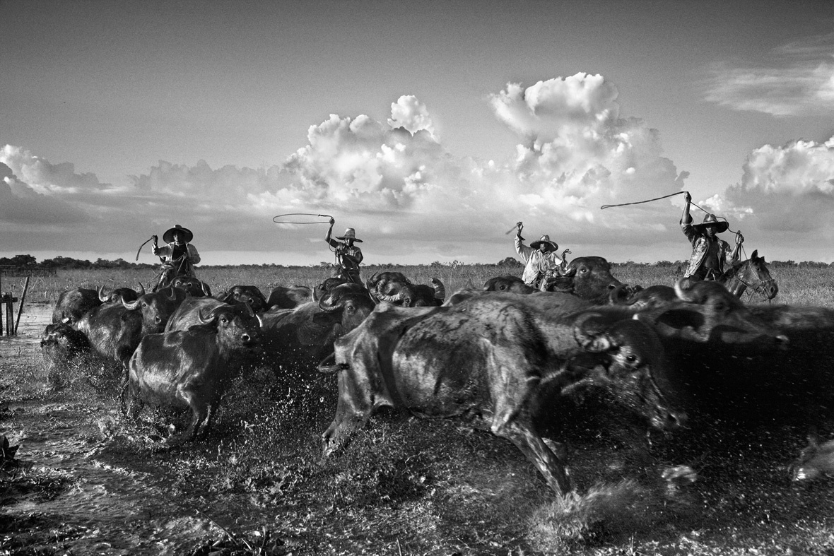 Araquém Alcântara abre "Coleção Ipsis de Fotografia Brasileira" - Araquém Alcântara