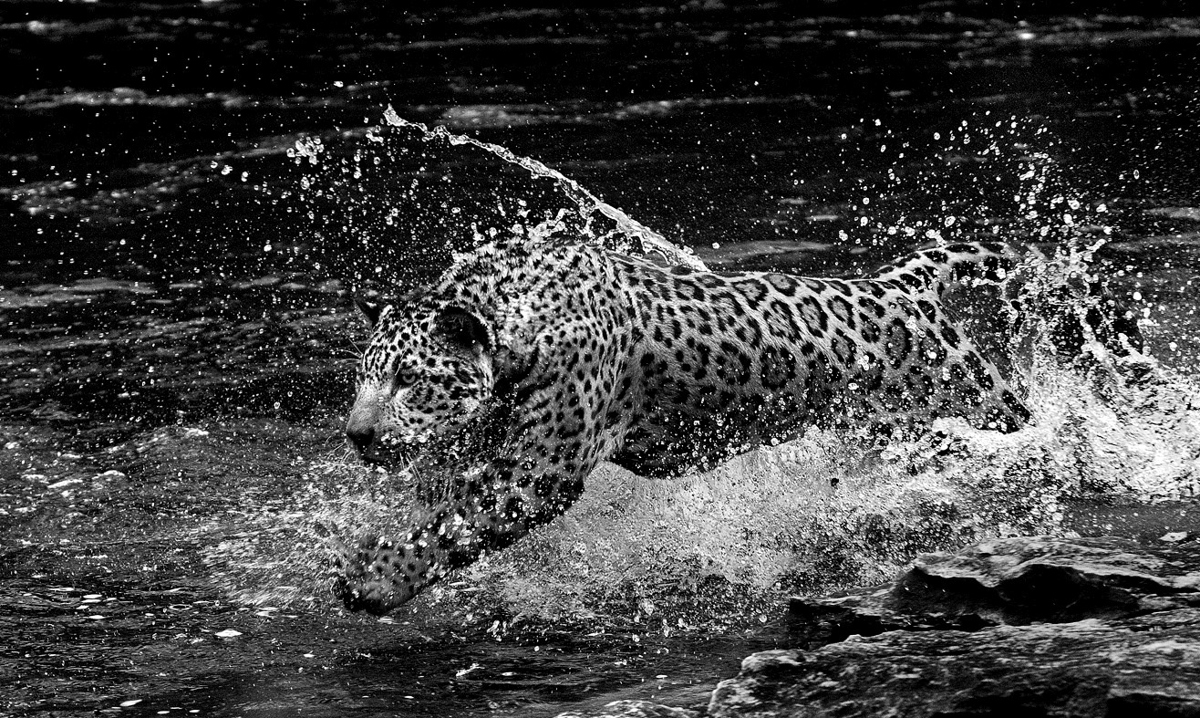 Araquém Alcântara abre "Coleção Ipsis de Fotografia Brasileira" - Araquém Alcântara