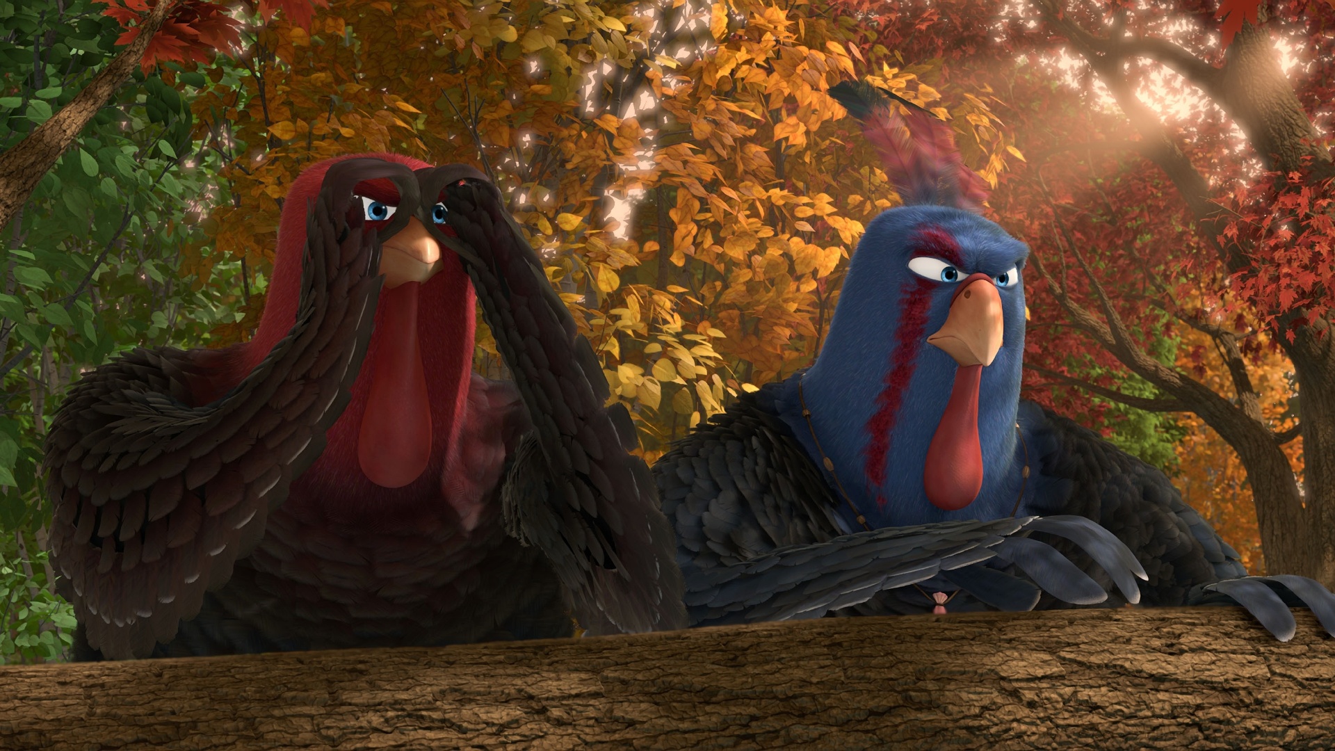 Cena da animação "Bons de Bico", de Jimmy Hayward - Divulgação/Imagem Filmes