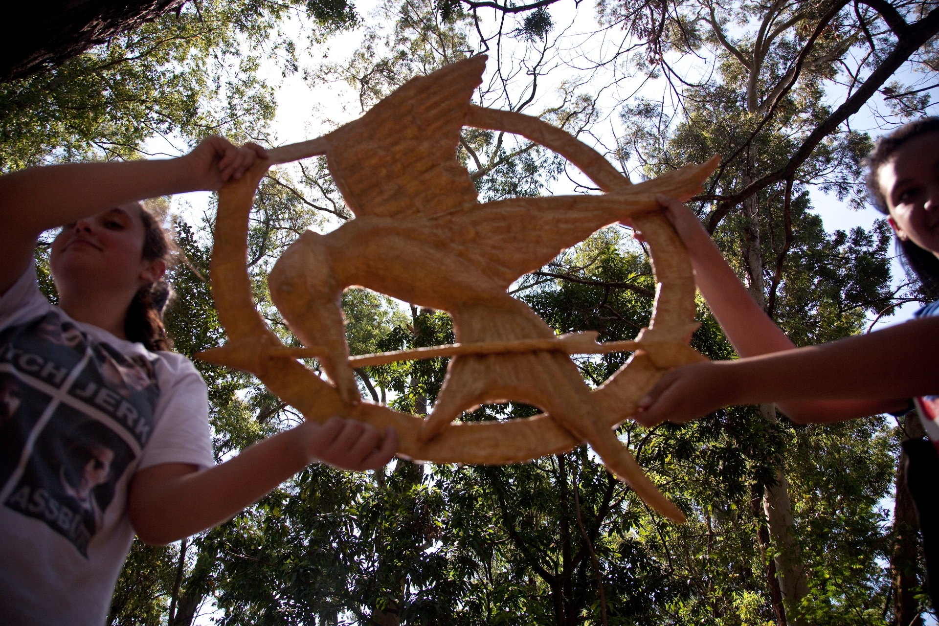 10.nov.2013 - Dezenas de fãs encenam "Jogos Vorazes", recitam trechos do livro de Suzanne Collins e vão fantasiados a encontro no Parque Ibirapuera, em São Paulo, no domingo (10) - Simon Plestenjak/UOL