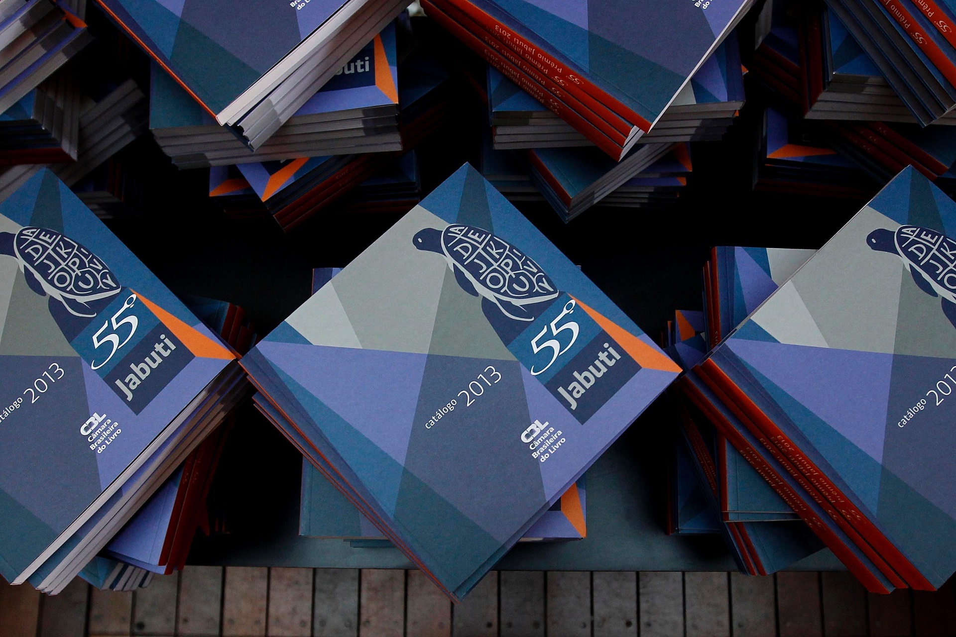 13.nov.2013 - Prêmio Jabuti 2013 é realizado na Sala São Paulo, no centro da capital paulista - Reinaldo Canato/UOL