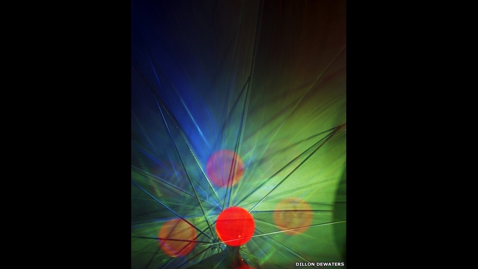 Oito artistas contemporâneos participam da mostra Lightplay, na Gallery 21, em Moscou. Obras de Lorne Blythe, Dillon DeWaters, Pierre Le Hors e Erin O'Keefe são expostas ao lado de trabalhos de artistas locais. A exposição discute temas como percepção, ambiguidade, abstração e fica aberta até o dia 9 de dezembro de 2013 - DeWaters Dillon/Red Lights/Wild Signals/BBC