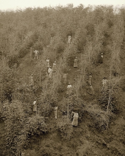 As fotos não documentam atos de 'violência explícita' contra escravos, mas expressam a opressão, segundo o curador da mostra no Museu de Arte Contemporânea da USP, Sergio Burgi. A exposição foi feita em associação com o Instituto Moreira Salles - Marc Ferrez/Colección Gilberto Ferrez/Acervo Instituto Moreira Salles