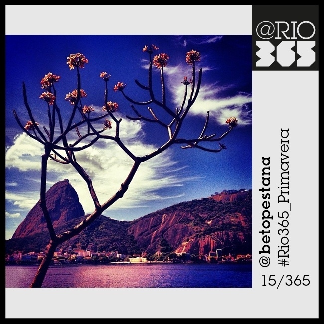 Foto do livro colaborativo "@Rio365 - Um Documentário Fotográfico" com fotos de Instagram - Instagram/@betopestana