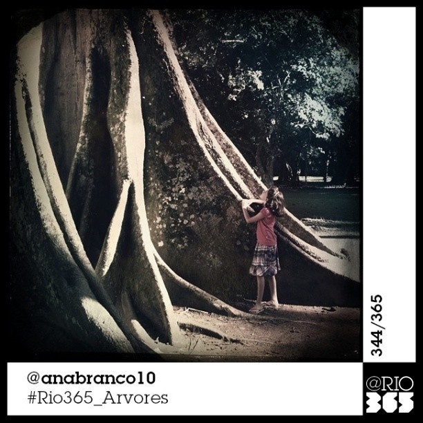 Foto do livro colaborativo "@Rio365 - Um Documentário Fotográfico" com fotos de Instagram - Instagram/@anabranco10