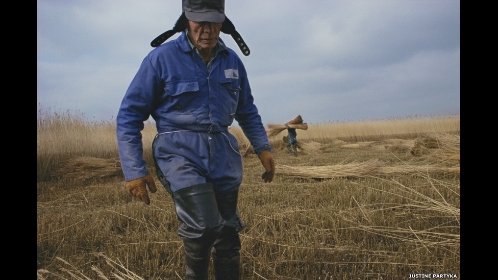 A mostra "With A Conscious Eye" fica em cartaz até 21 de dezembro na Galeria Osborne Samuel, em Londres - Justine Partyka