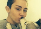 Miley Cyrus beija cão e se despede dele antes de sair em turnê - Reprodução/Twitter