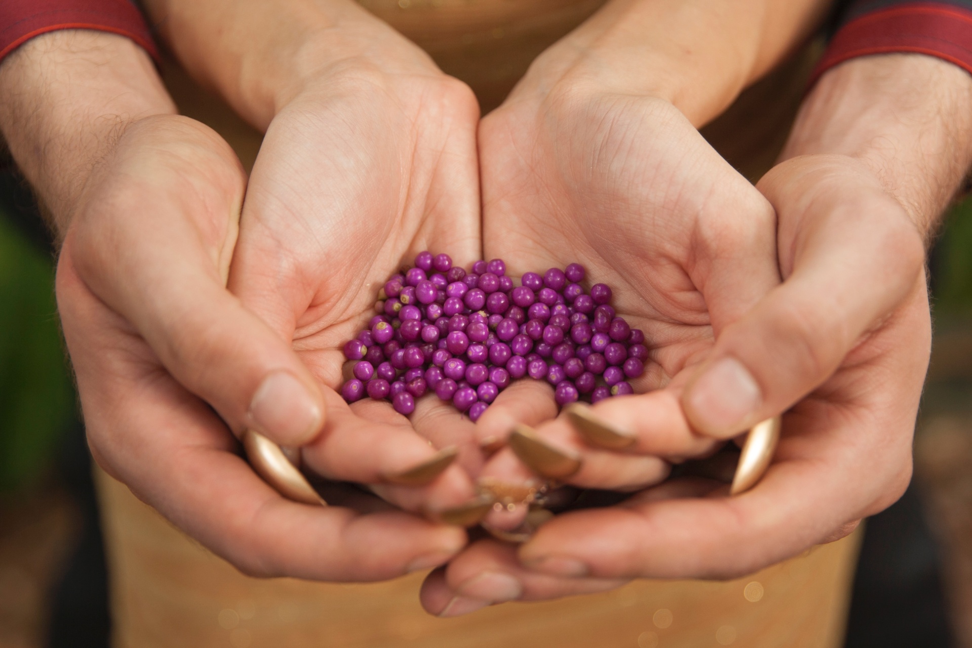 Ensaio fotográfico mostra como seria o casamento de Katniss e Peeta, protagonistas da série "Jogos Vorazes", vividos, respectivamente, por Jennifer Lawrence e Josh Hutcherson no cinema - Divulgação/Lilly and Lilly Photography
