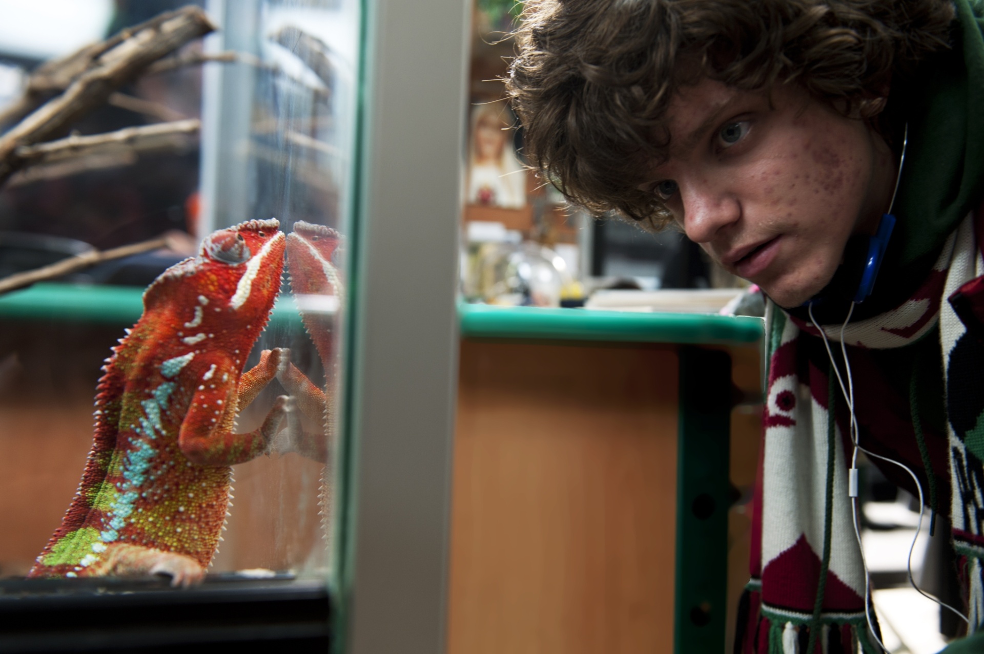 Cena de "Eu e Você", de Bernado Bertolucci - Divulgação/California Filmes