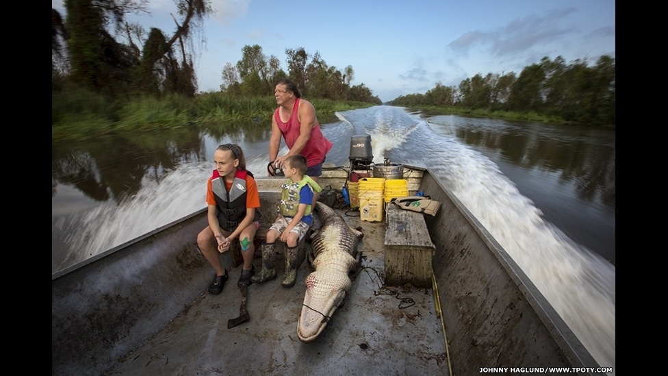 Já, Johnny Haglund concentrou seu trabalho na caça a répteis no Lac des Allemands, no Estado americano de Louisiana - Johnny Haglung/Travel Photographer of the Year 2013