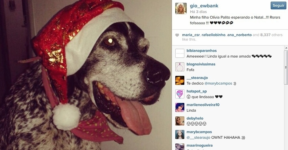 16.dez.2013 - Giovanna Ewbank coloca gorro de Papai Noel em sua cachorra de estimação. "Minha filha Olívia Palito esperando o Natal. Fofa", escreveu a atriz