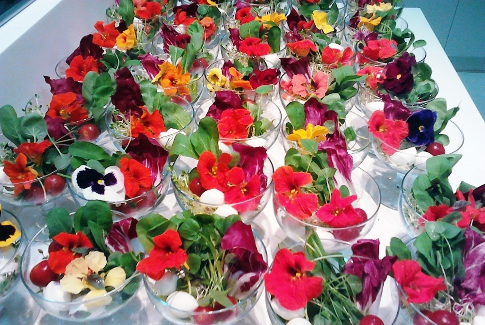 Saladas com rúcula, mussarela de búfala e flores; da Sweet Pimenta (www.sweetpimenta.com.br) - Divulgação