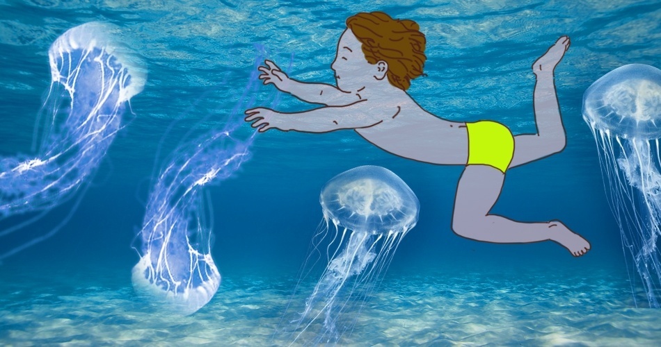 QUEIMADURA POR ÁGUA-VIVA: as queimaduras por água-viva ocorrem pelo contato com seus filamentos, que injetam neurotoxinas na pele. Essas substâncias, normalmente, geram irritações, dores e ardor no local. Não costumam deixar cicatrizes, mas podem causar necrose da pele, febre, câimbras e reação anafilática (evento grave desencadeado após contato com agente alérgico). As crianças são mais sensíveis do que os adultos - Didi Cunha/UOL