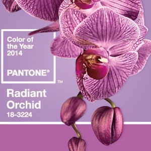 Radiant Orchid, eleita a cor de 2014 pela Pantone 