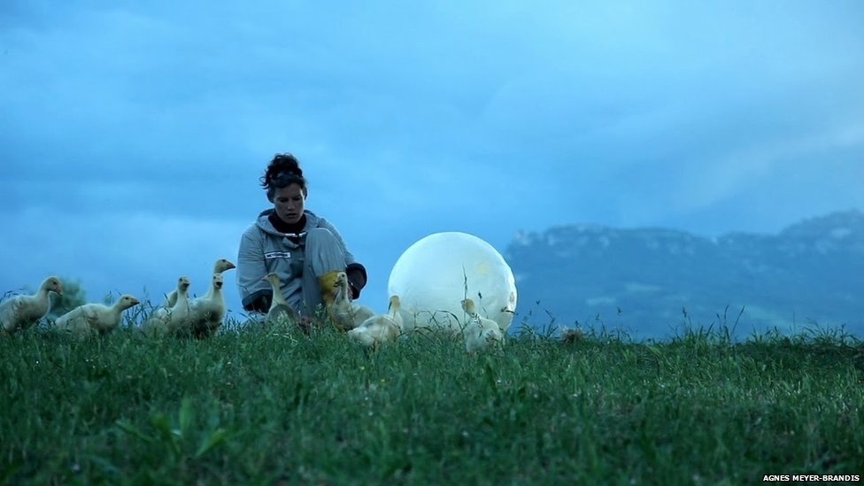 A inspiração de Agnes Meyer-Brandis veio do livro "The Man in the Moone", de 1638, uma fantasia em que um homem tenta ir para a Lua usando uma carruagem levada por gansos. - Agnes Meyer-Brandis