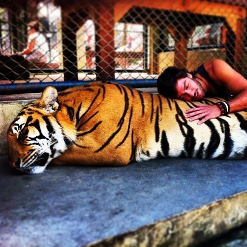 Apontado como novo amor de Grazi Massafera, Rodrigo Lasmar posta foto deitado em um tigre