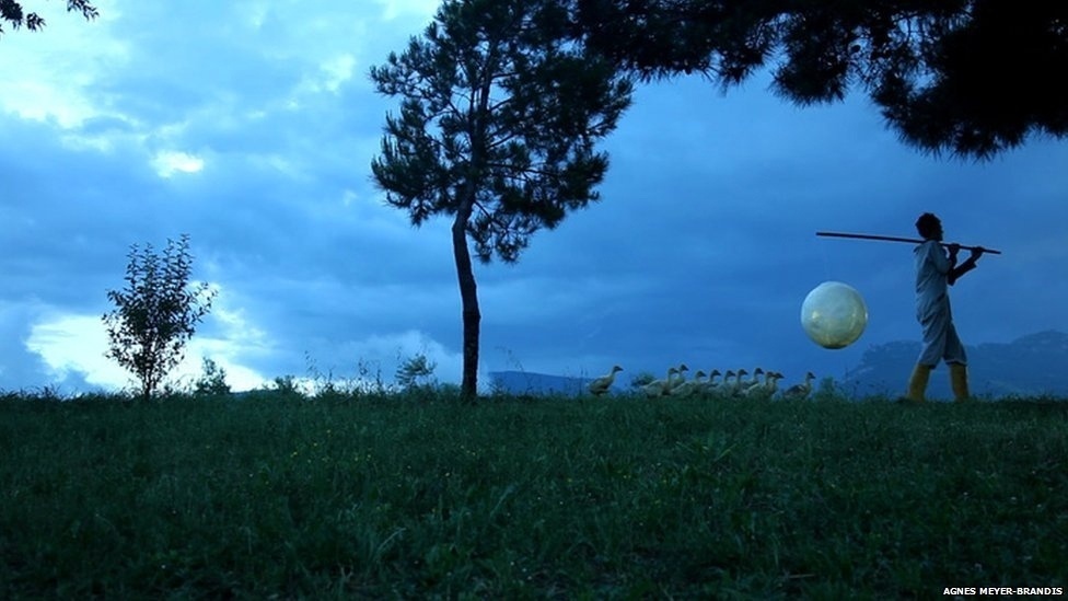 Meyer-Brandis mescla fantasia e realidade ao interpretar o papel de 'Mamãe Ganso', dando nomes de astronautas a seus onze filhotes e ensinando-os a voar. Esse projeto rendeu um documentário, chamado 'Moon Goose Analogue: Luna Bird Migration Facility' - Agnes Meyer-Brandis