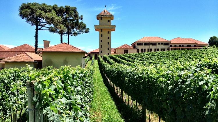 a-visita-a-produtora-de-vinhos-miolo-na-cidade-de-bento-goncalves-e-recheada-de-historia-e-degustacao-de-excelentes-vinhos-no-passeio-o-turista-conhece-como-a-empresa-cresceu-de-um-pequeno-lote-1389733732981_v2_750x421 a-visita-a-produtora-de-vinhos-miolo-na-cidade-de-bento-goncalves-e-recheada-de-historia-e-degustacao-de-excelentes-vinhos-no-passeio-o-turista-conhece-como-a-empresa-cresceu-de-um-pequeno-lote-1389733732981_v2_750x421 Marcel Vincenti/UOL O inverno está aí: veja cidades brasileiras perfeitas para curtir o frio - 22/06/2019 a visita a produtora de vinhos miolo na cidade de bento goncalves e recheada de historia e degustacao de excelentes vinhos no passeio o turista conhece como a empresa cresceu de um pequeno lote 1389733732981 v2