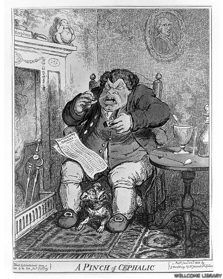 A imagem acima retrata um homem a ponto de espirrar após inalar tabaco. O título que acompanha a gravura é "Uma pitada de cefálico", dando a entender que o tabaco funcionara como um estimulante para o cérebro - Wellcome Libray